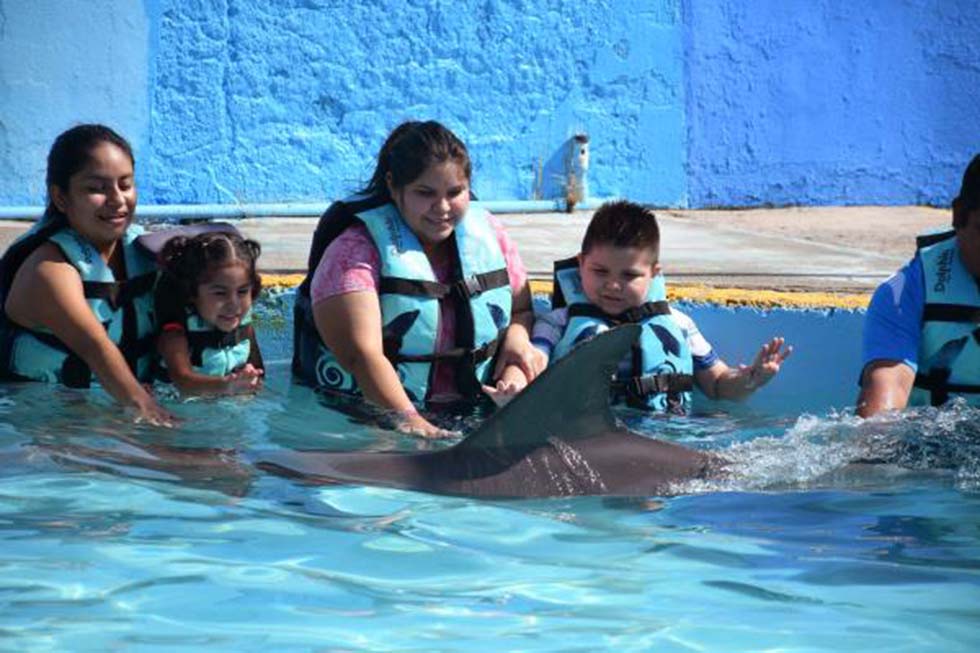 dolphyn02 On Bahia Magazine Destinos Turismo Medico Entrada