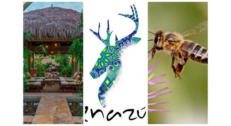 Noti-Hoteles Riviera Nayarit