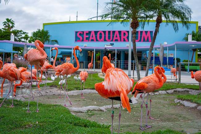 Miami Seaquarium On Bahia Magazine Destinos Turismo Medico Entrada