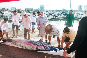 SegundoDia 3 On Bahia Magazine Destinos Torneo Internacional de Pesca Marlin y Pez Vela Evento