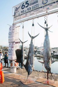 SegundoDia 31 On Bahia Magazine Destinos Torneo Internacional de Pesca Marlin y Pez Vela Evento