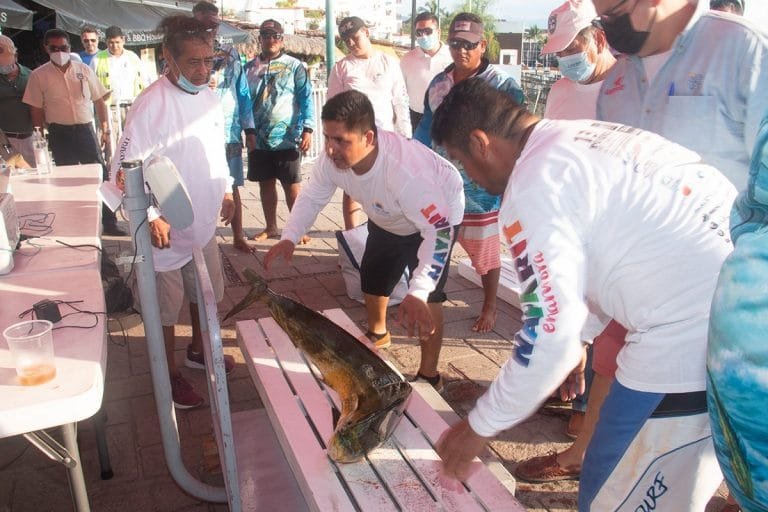 Primer día de Pesca en el 65 Torneo Internacional de Pesca Marlin y Pez Vela
