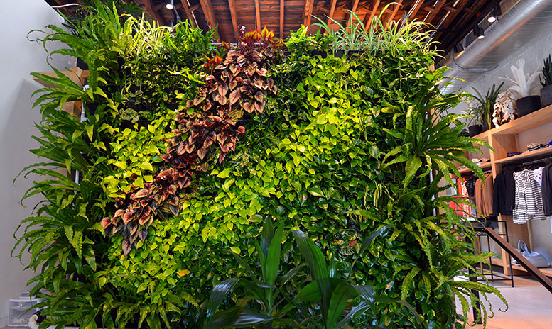 paredes verdes 4 on Bahia Magazine Destinos Vida y Estilo Entrada