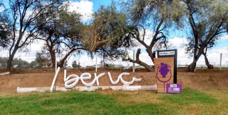 Viñedos Iberia: de Aguascalientes para el mundo