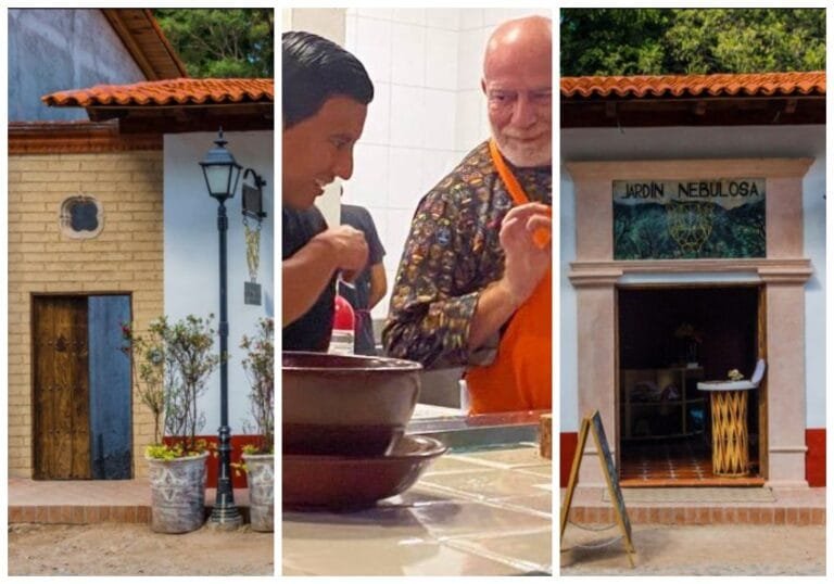 Excepcional cena maridaje en Jardín Nebulosa de San Sebastián del Oeste