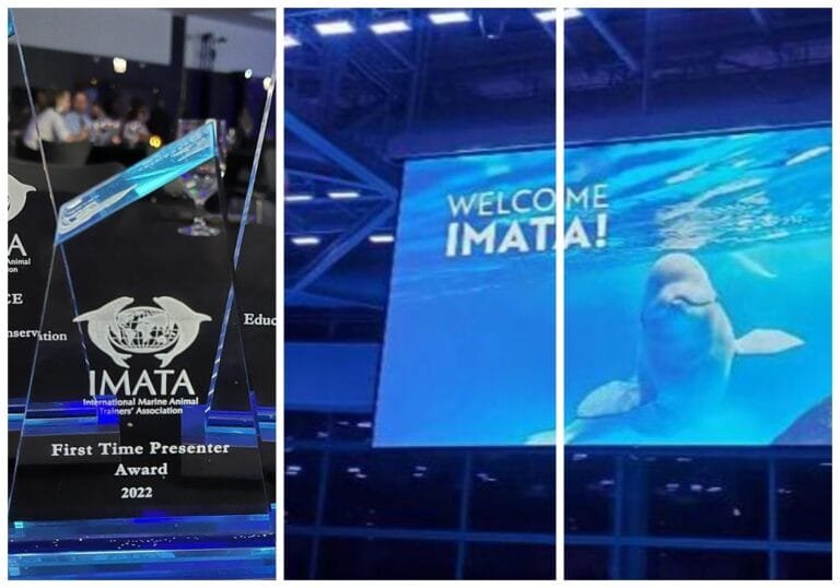 Obtiene The Dolphin Company 3 premios por educación y conservación de animales marinos