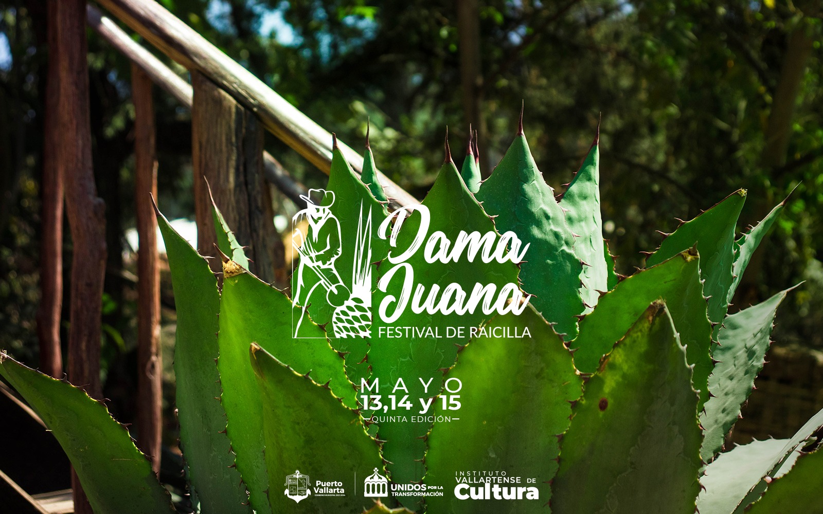 festival dama juana 2 On Bahia Magazine Destinos Eventos Gastronómicos Entrada