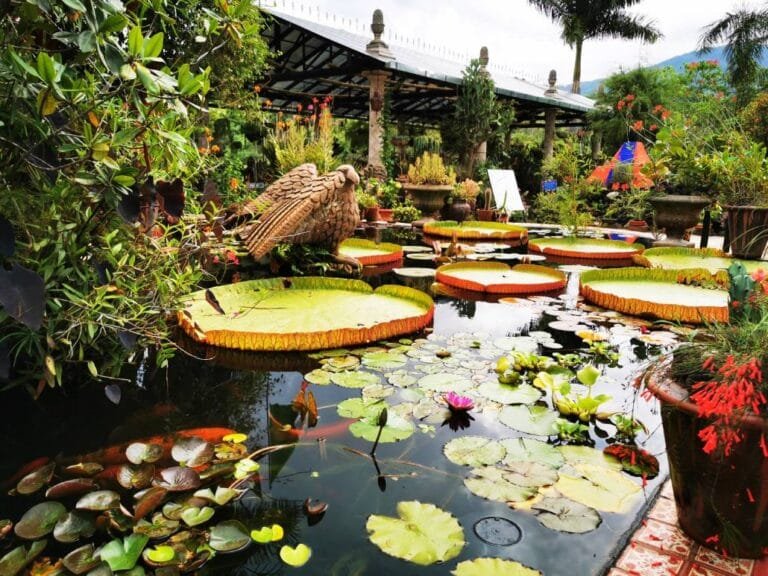 Jardín Botánico de Vallarta lidera nominaciones entre los mejores de Norteamérica