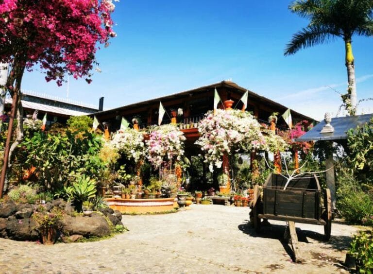 Jardín Botánico de Vallarta, el tercero más hermoso de Norteamérica