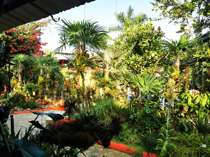 jardin botanico de puerto vallarta On Bahia Magazine Destinos USA Today Evento