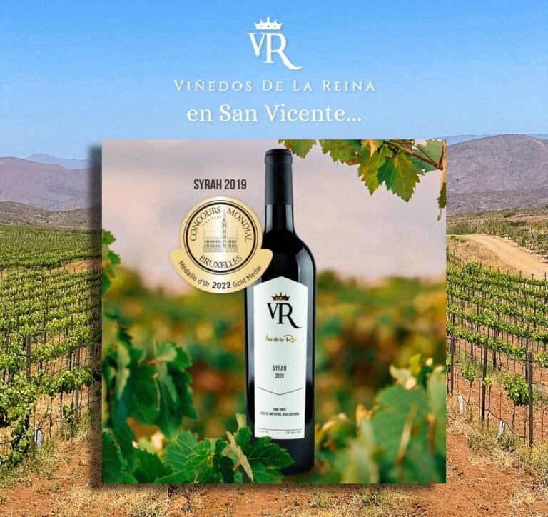 Viñedos de la Reina obtiene Medalla de Oro en Concurso Mundial de Bruselas