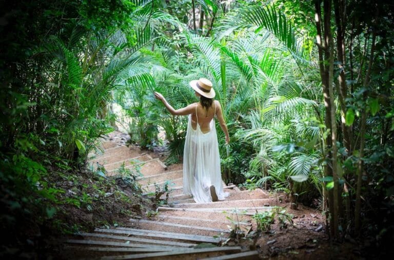 Puerto Vallarta: el paraíso natural para vivir experiencias de bienestar y desconexión