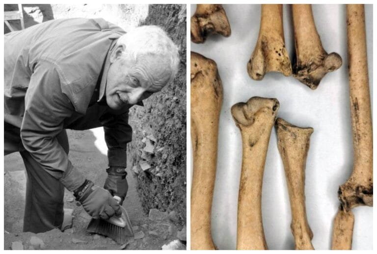 Investigadores del CUCosta hallan importante vestigio arqueológico en costa de Jalisco