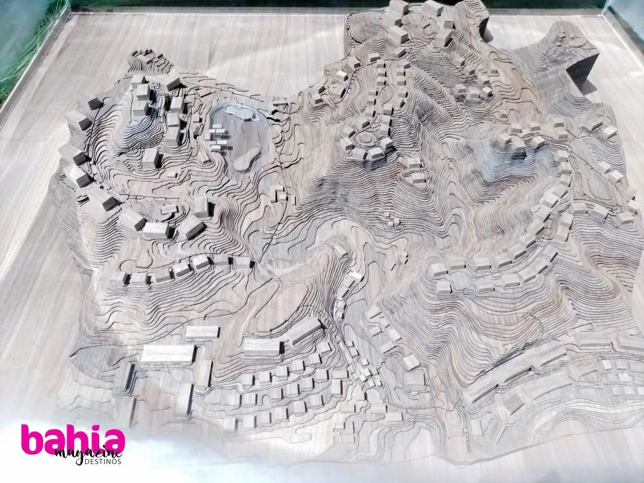 proyecto NIA riviera nayarit