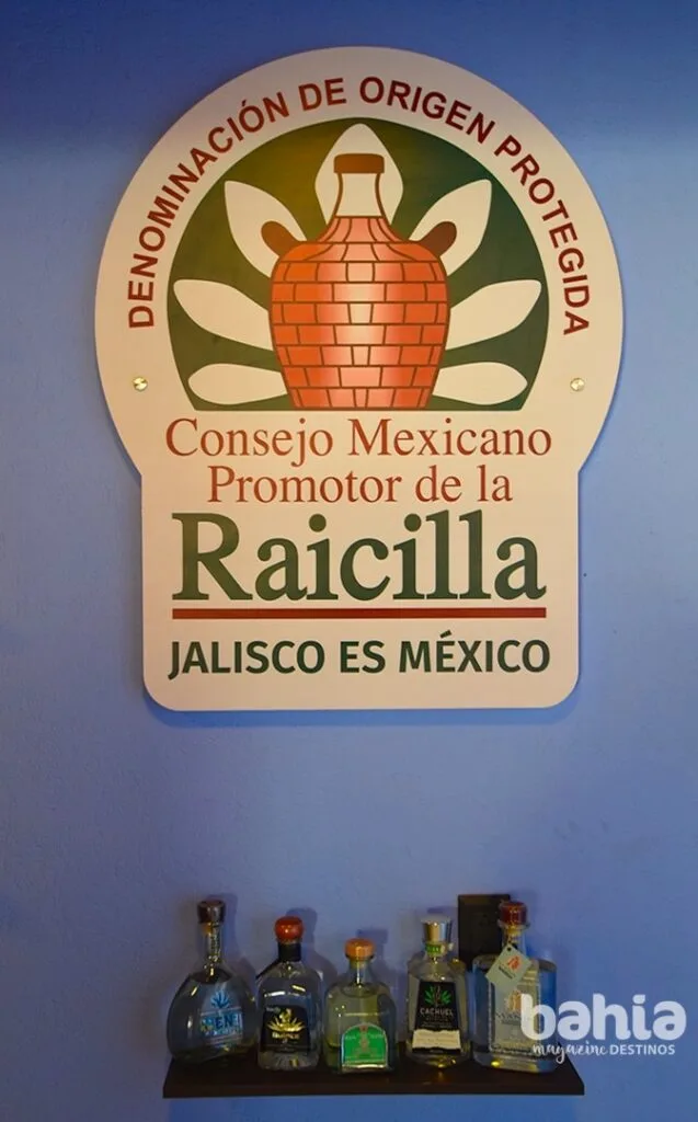 Dia de la Raicilla0007