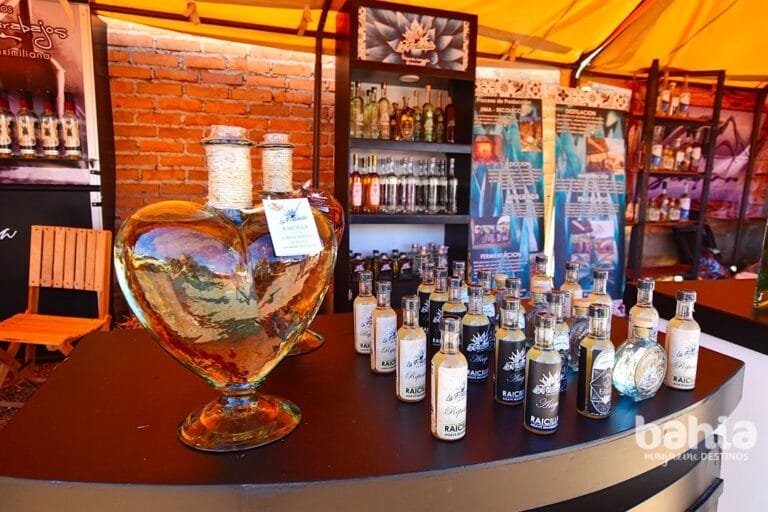 Con gran éxito celebran el Día de la Raicilla en Mascota