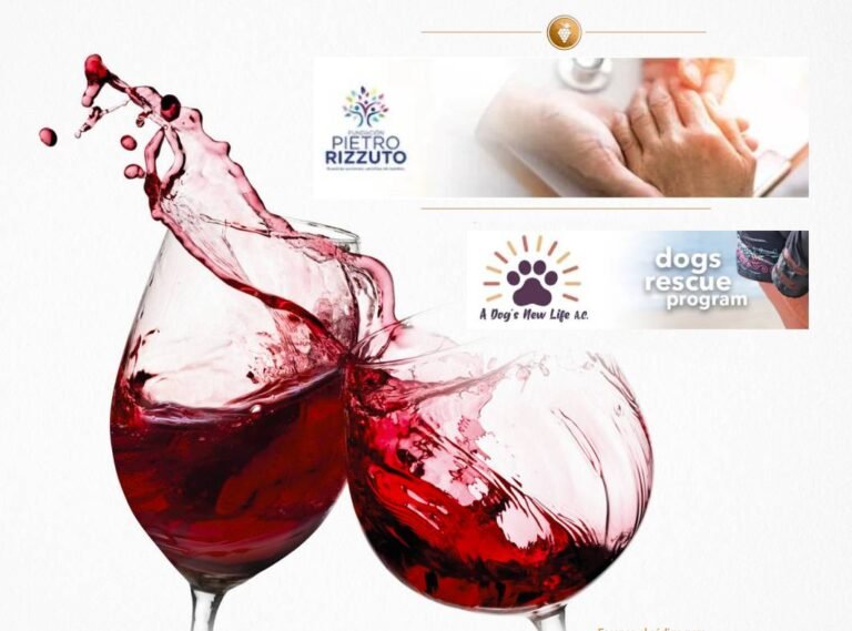 Invitan a celebrar el Día Mundial del Malbec en un Cóctel con Causa