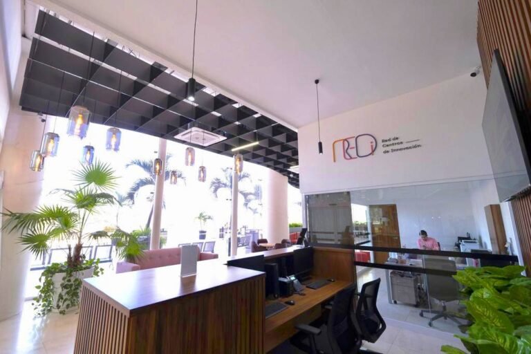 Presentan REDi Puerto Vallarta a la comunidad emprendedora de la región