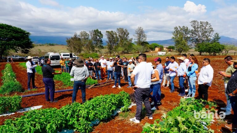 Ofrece Innova Gourmet sus Sabores de la Tierra