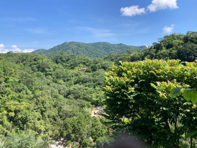 El Vallarta Botanical Garden es reconocido como Área Natural Protegida de Jalisco