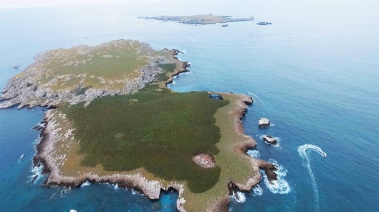 CUCosta: Huracán “Roslyn” causó daños en un 95 % del coral en Islas Marietas