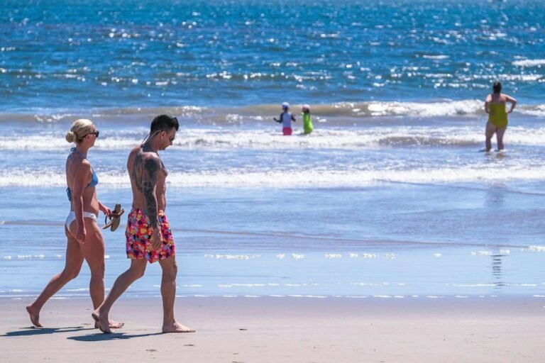 Prevé la OMT recuperación total del turismo internacional en 2024