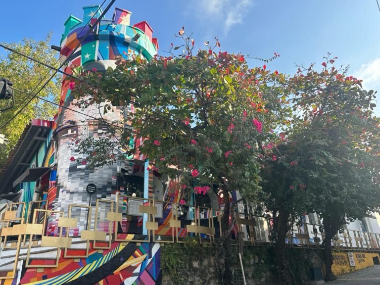 Arte y Gastronomía en el Gala Puerto Vallarta-Riviera Nayarit 2024