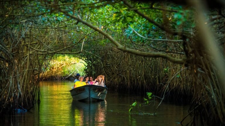 24 razones para visitar Nayarit esta primavera