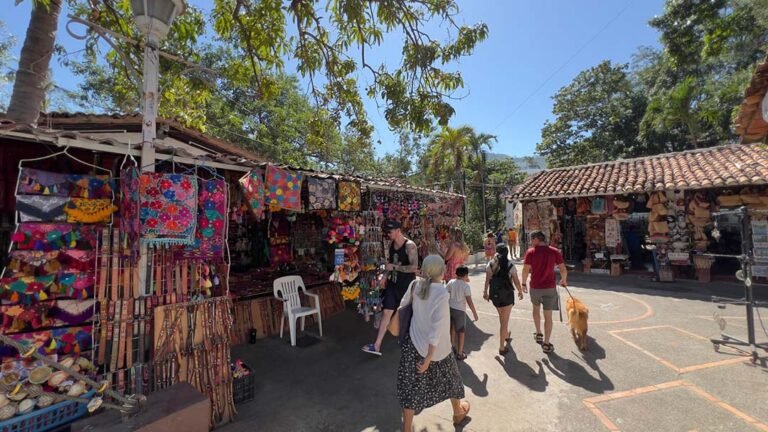 Actividades comerciales se realizaron con orden durante las vacaciones