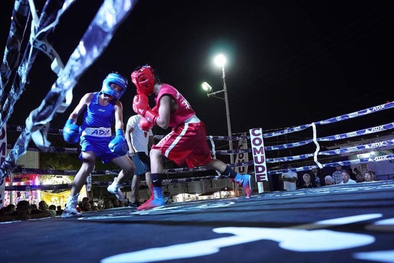 El “Box Social” se presentó en la delegación de Ixtapa