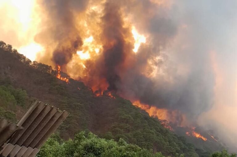 Invita Gobierno Municipal a apoyar a brigadistas que atienden incendio en Mascota