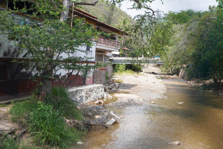 Protegen Mercado del Cuale