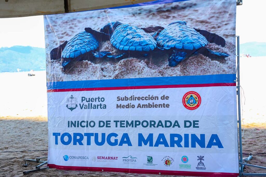 Dan arranque a temporada de anidacion de la tortuga marina 01 On Bahia Magazine Destinos Ecología Entrada