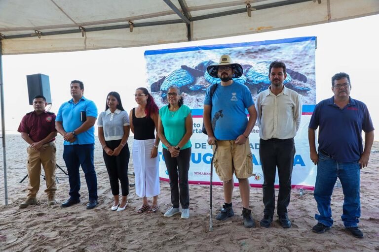 Arranca temporada de anidación de la tortuga marina en Puerto Vallarta