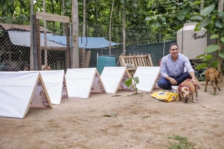 Héctor Santana recicla propaganda, construye casitas para mascotas
