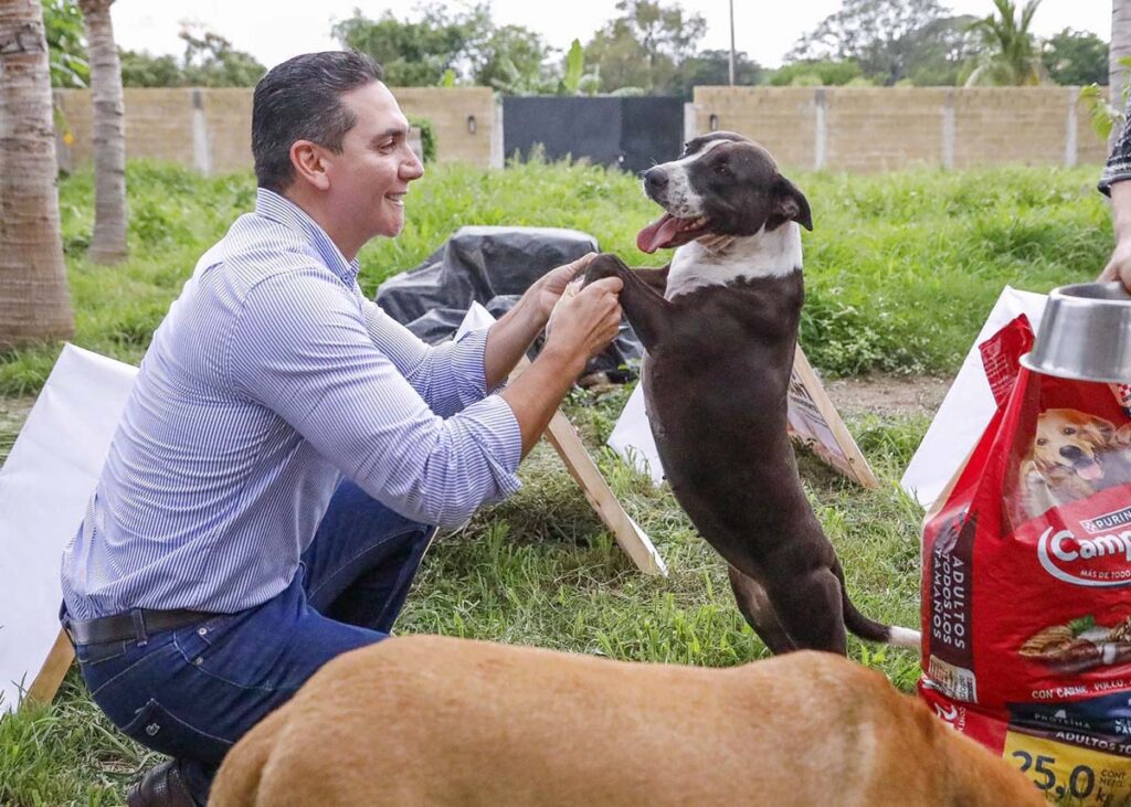 Convierte Hector Santana propaganda en casitas para mascotas 06 On Bahia Magazine Destinos Bahía de Banderas Entrada