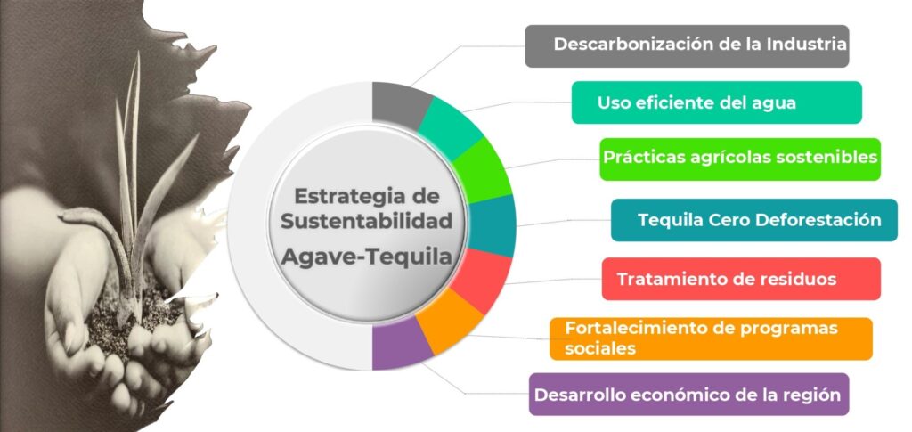 EjesEstrategiaSustentabilidadAgaveTequila On Bahia Magazine Destinos Todo Turismo Entrada