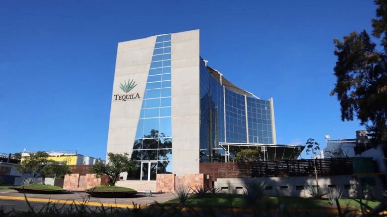 Renuevan registro de Tequila como Marca de Certificación en Sudáfrica