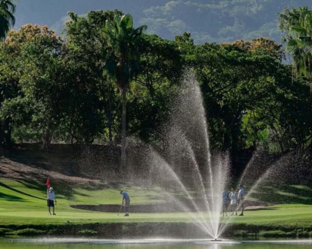 vista vallarta 02