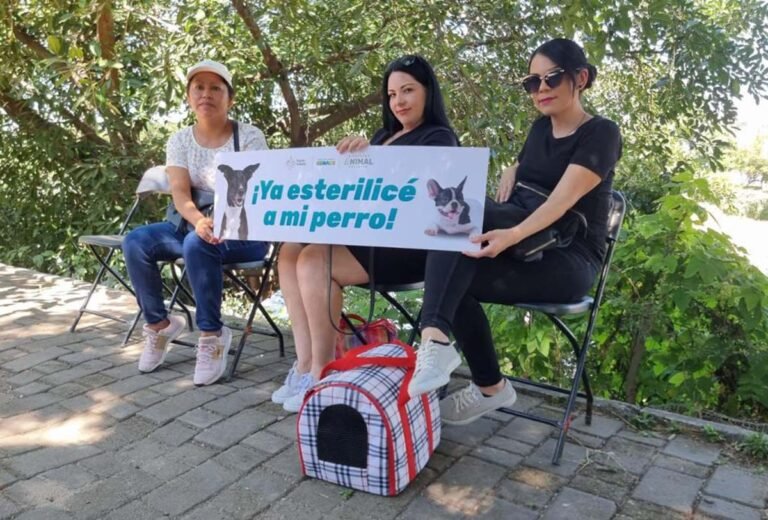 Realizan campañas gratuitas de esterilización y vacunación de mascotas