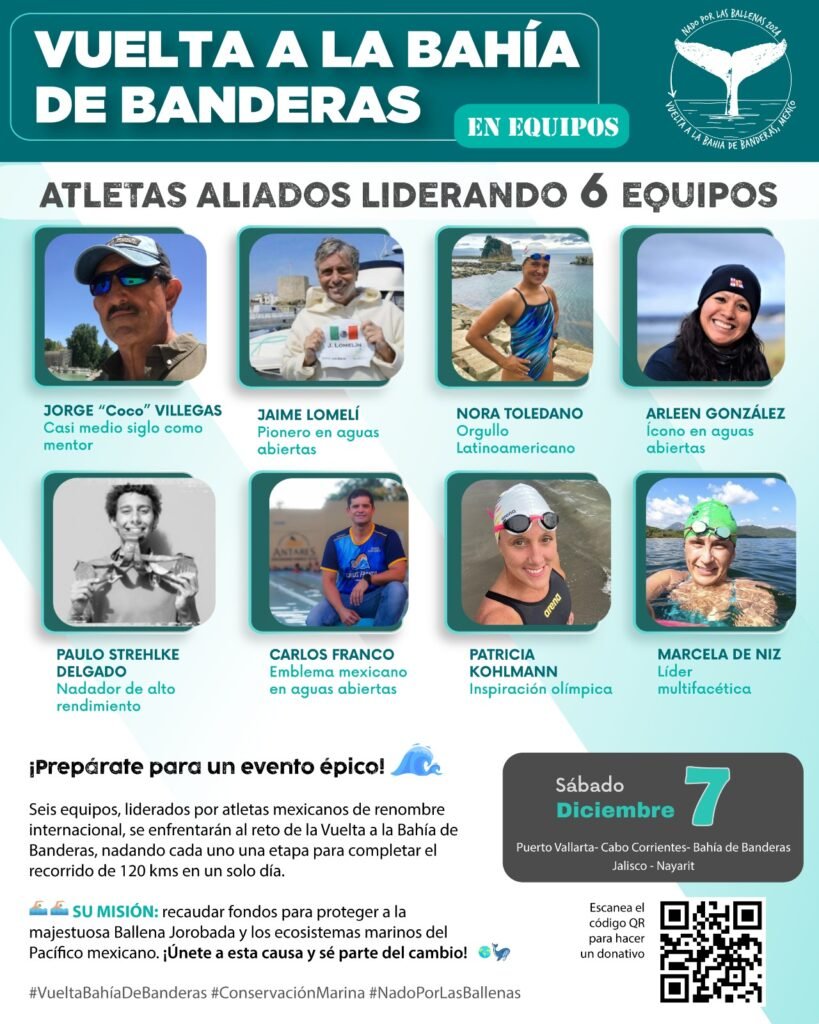 cartel nado por las ballenas equipos