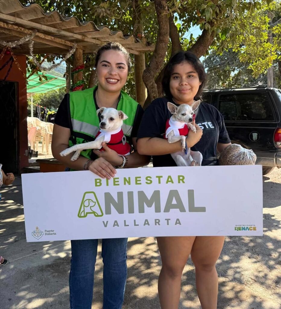 Bienestar Animal reparte sueteres y alimento para mascotas esta navidad 03