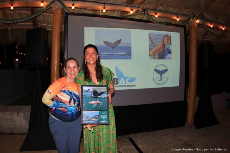 Nombran «Steph» a ballena, en honor a Stephanie Montero Bending