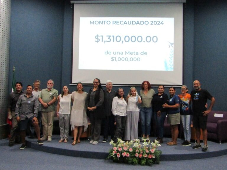 Nado por las Ballenas supera meta al recaudar más de 1.3 mdp