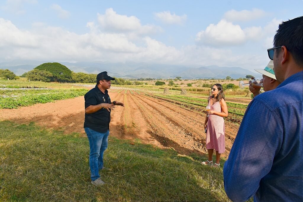 sabores de la tierra innova gourmet 2