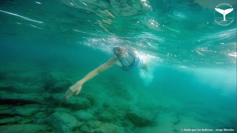 Lidera Stephanie Montero «deporte con causa» para proteger a la ballena jorobada