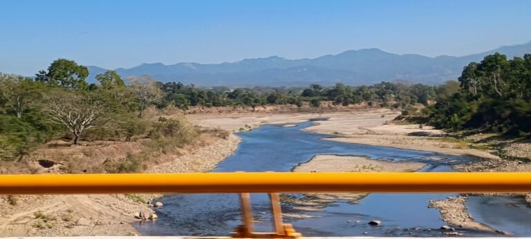 Anuncia Sheinbaum construcción del puente Federación en 2025