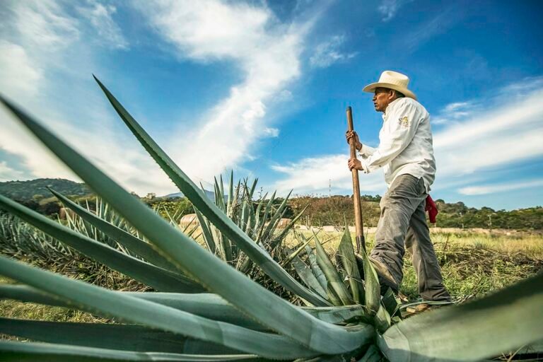 Jalisco está listo para la Feria Internacional de Turismo 2025