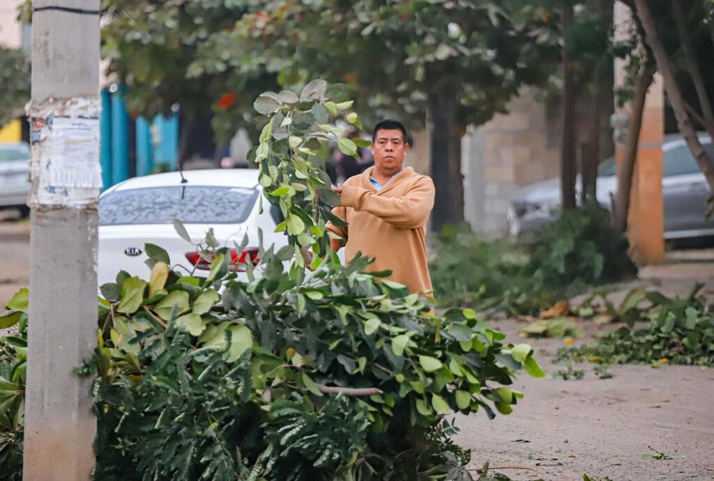 Hector Santana cumple su promesa Mas de 120 trabajadores limpian Jardines del Sol 05