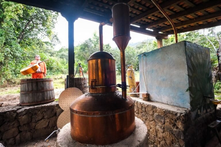 Jalisco impulsa la raicilla como atractivo turístico internacional